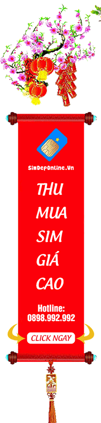 sim phong thủy 365